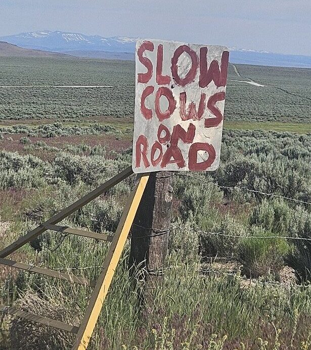 20250606 163910